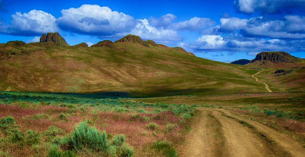 Vast and Beautiful